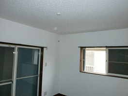 P3020039