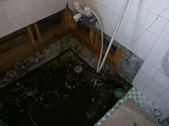 P5070031