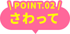POINT.02 さわって