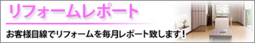 reform_report