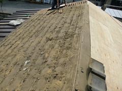 CIMG0702
