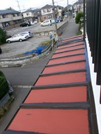 P6290013
