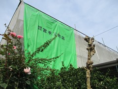 IMG_0616
