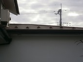 P2030012