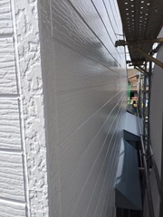 IMG_4052