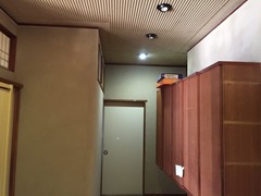 IMG_4561