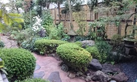IMG_6846