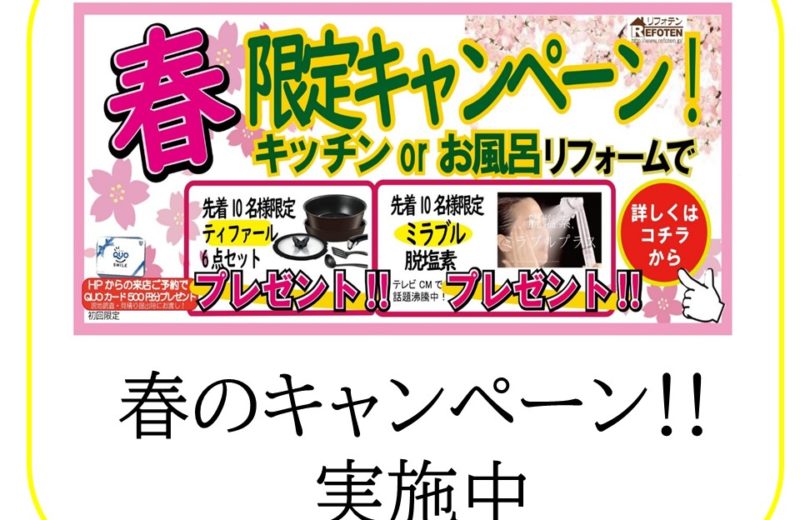 春限定キャンペーン実施中!